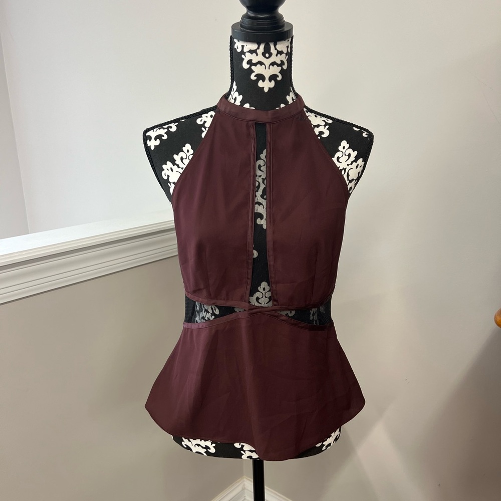 Brown Satin & Mesh High Neck Top